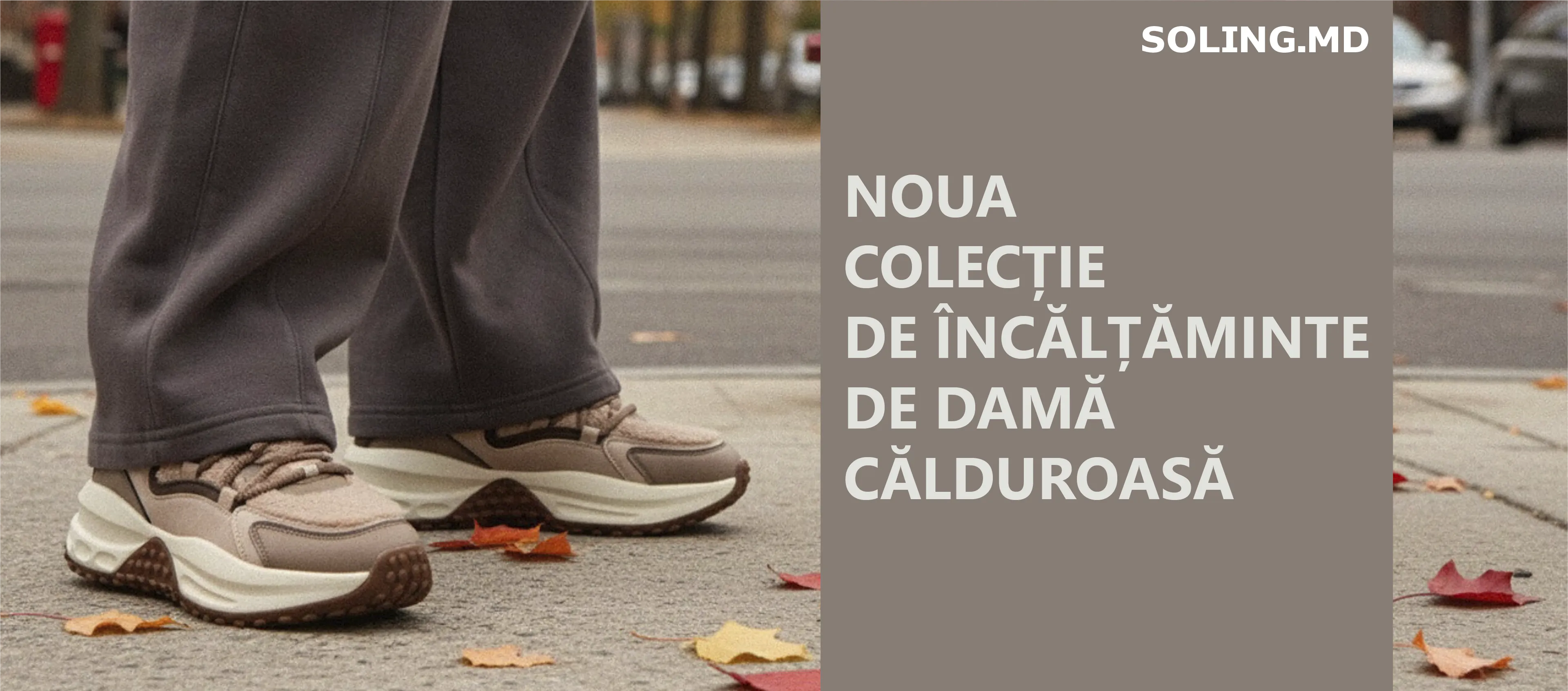 Noua colecție de încălțăminte de damă călduroasă