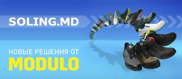 modulo