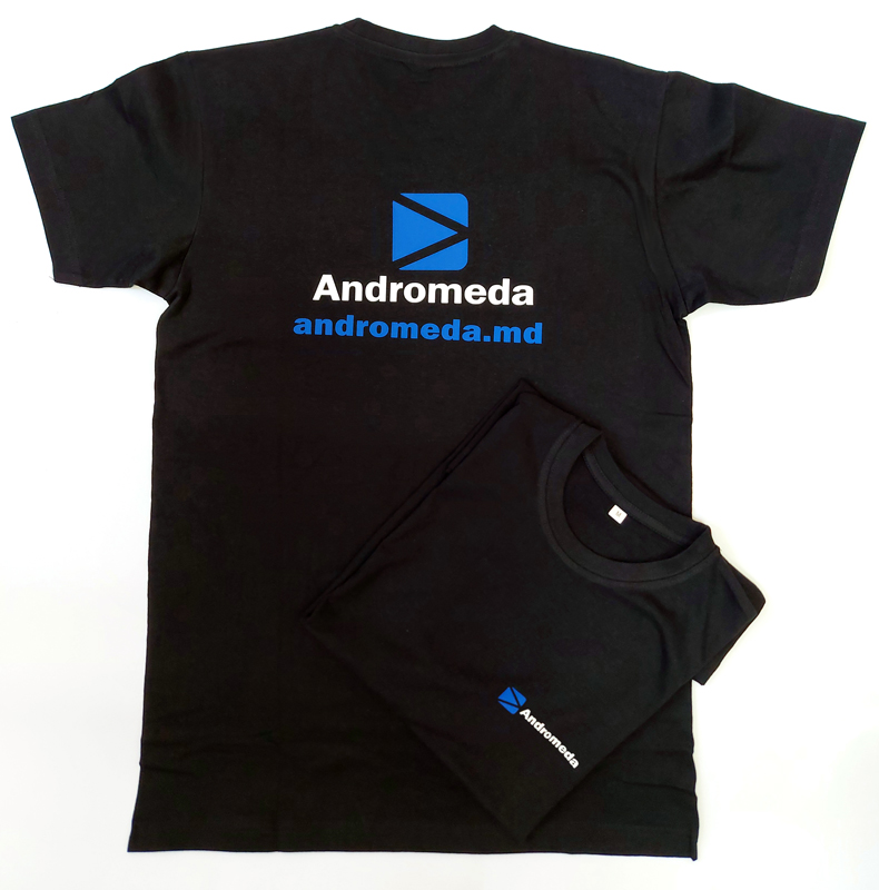 Термонанесение логотипа на футболку TEESTA для компании Andromeda