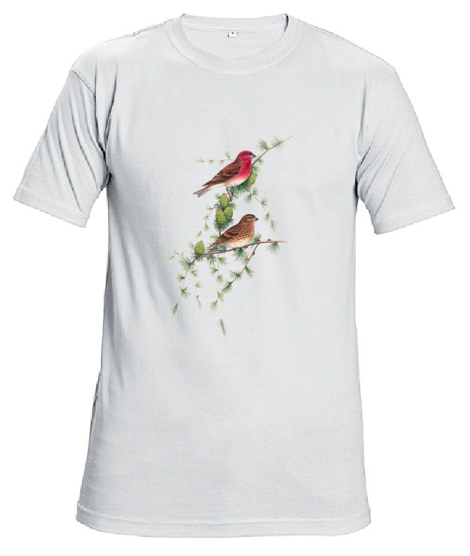 Футболка с принтом "Birds II" Белая (White)