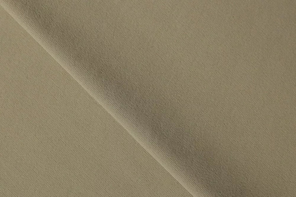 Activa-200 95% nylon, 5% spandex, 200 gsm, 150 cm, Plain 1/1, WR, Khaki #80