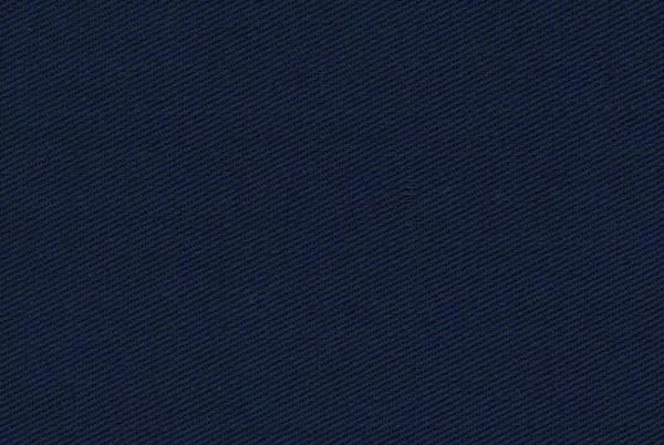 EGERIA AP-245 Navy 440 (245gsm | 64% Polyester, 34% Cotton, 2% AS| Twill 3/1)
