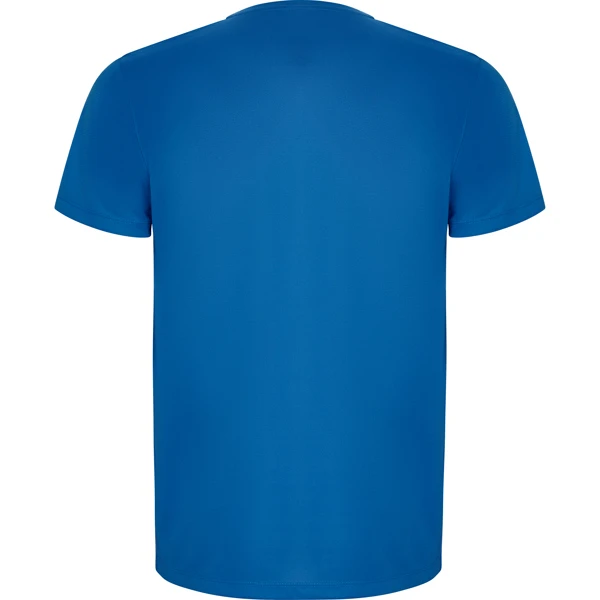 Мужская спортивная футболка IMOLA - синяя