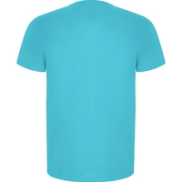 Мужская спортивная футболка IMOLA - бирюзовый