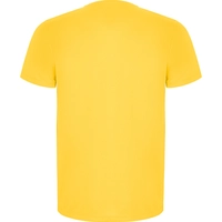 Мужская спортивная футболка IMOLA - желтая