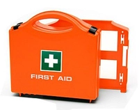Аптечка First aid kit P-10
