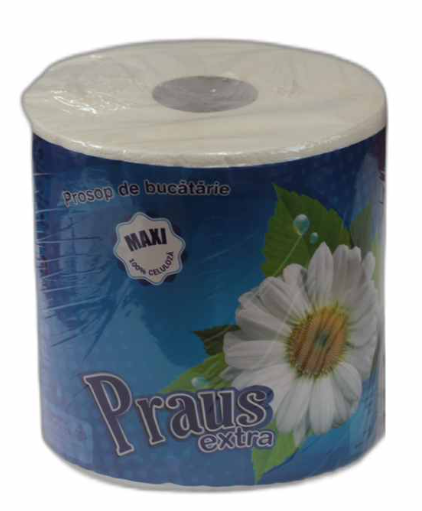 Сухие салфетки Praus Extra